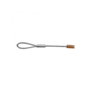 Cassin Copper Head