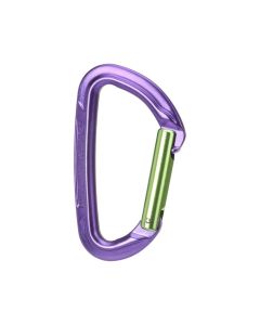 Wild Country Session Straight Gate Carabiner